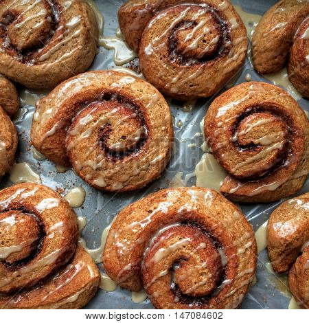 Whole wheat vegan cinnamon buns drizzled with glaze, baked with 100% whole grain flour, fresh out of the oven on a baking sheet.