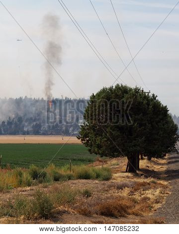 A helicopter flies through the smoke of a fire in Central Oregon to douse the flames as it reaches multiple farms.