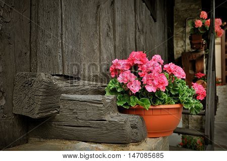 porch of alpien house with Red geranium flower in pot