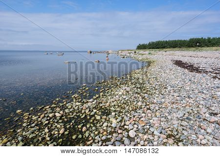 Rocky beach in summer. Seaside natural environment. White clouds blue sky and sea coast forest in background. Shore in Koipsi Island Estonia Europe