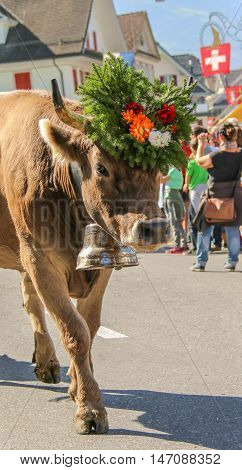Almabzug - ceremonial driving down the cattle from the mountain pastures into the valley in autumn in Schüpfheim Switzerland