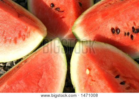 Cocomeri