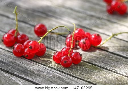 Closeup of red currant berries on wooden background.