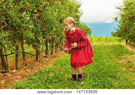 Cute little blond girl playing in apple orchard in early autumn