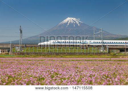 Shizuoka - MAY 05 : Shinkansen bullet train and Mountain Fuji on May 05 , 2016 , Shizuoka ,Japan. Shinkansen is world's busiest high-speed railway operated by four Japan Railways companies.