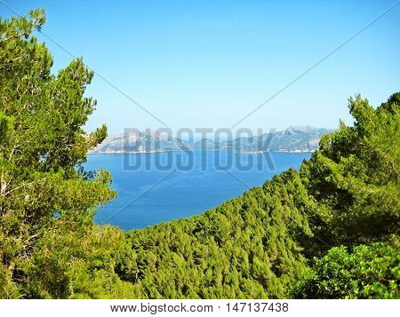 Bay of Pollenca peninsula Formentor view from peninsula Victoria - pine trees at coastal cliff in front ocean view