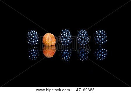 Four blackberry and one yellow raspberry on black reflective background