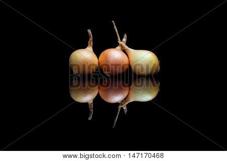 Three golden onions on glossy black background