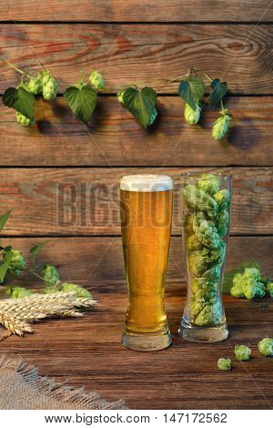 Light beer glass lager malt beer on wooden table with green hops in bar or pub still life with wooden background