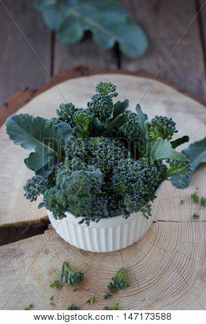 The concept of healthy eating bunch of broccoli