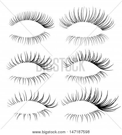 Vector realistic eyelash textures. Beautiful eyelash brushes
