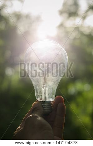 hold on light blub and sunhine in nature
