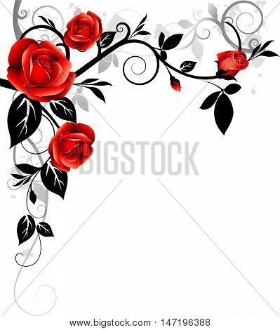 Vector ornament with red roses. Decorative floral corner