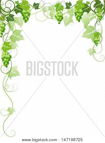 Vector frame with green grapes and leaves