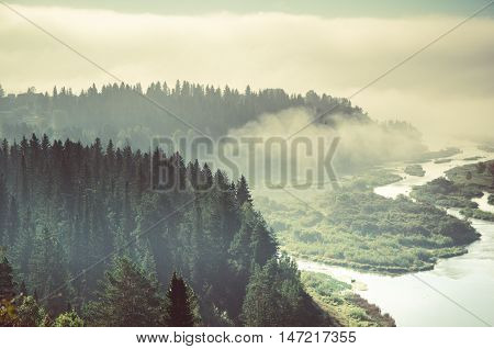thick fog covered with thick coniferous forest. forest with a bird's eye view . coniferous trees, thickets of green forest. fog covered with thick coniferous forest.