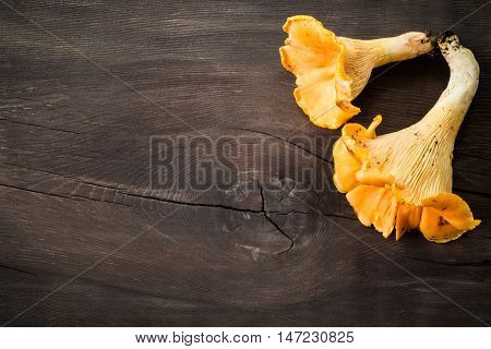 Fresh chanterelle mushrooms on rustic wooden background. Top view.