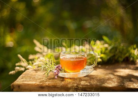 Green Tea In Beautiful Cup