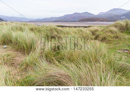 Looking over grass and sand dunes at Mawddach Estuary. Fairbourne Wales United Kingdom