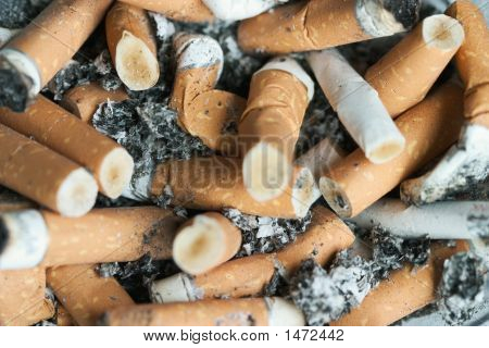 Cigarette Butts