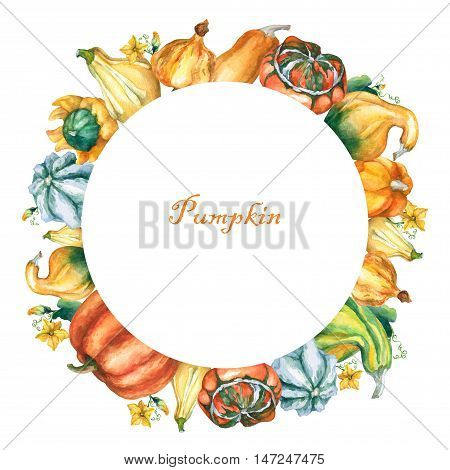 Pumpkins. Round template with decorative pumpkins watercolor painting on white background.