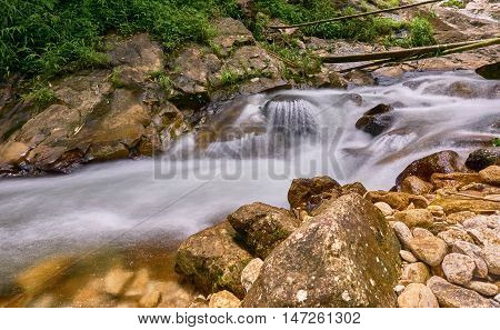 A little waterfall in the tropical rain forest