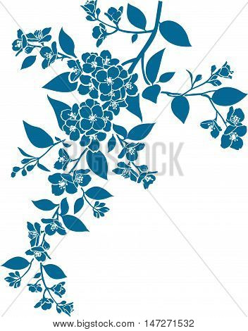 Vector blossoming twig. Jasmin silhouette. Spring flowers