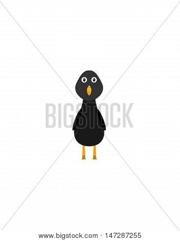 Funny Blackbird Character