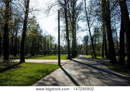 people came to the park on the first warm day after a cold winter