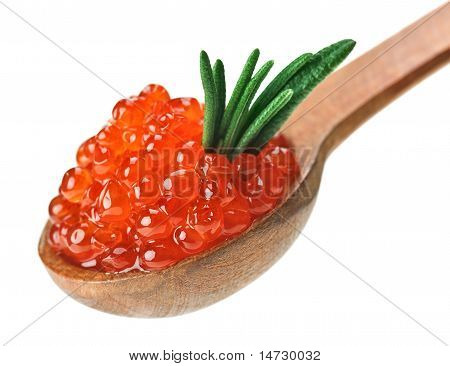 Rosso salmone caviale Heap In cucchiaio di legno con foglia di rosmarino