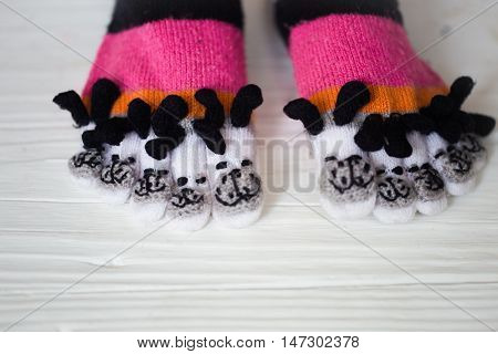 Baby feet in warm long multicolored socks with toes white background
