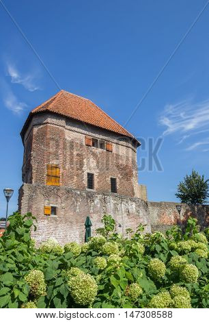 Medieval Tower Wijndragerstoren In The Center Of Zwolle