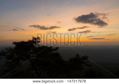 Colorful sky and sunset above pine tree.