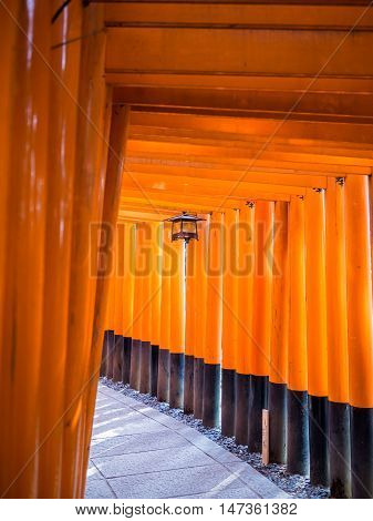 The historic fushimi inari gates in Kyoto