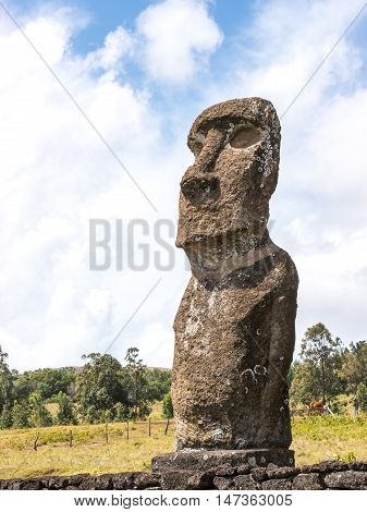 A Single Moai of the Ahu Akivi