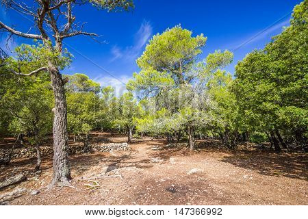Beautiful view of Sierra de Tramuntana Mallorca Spain
