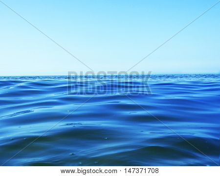 Macro Sea photo. Standing near to water.