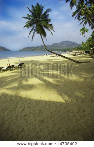 Tropical beach i Palolem, Goa state, Indien