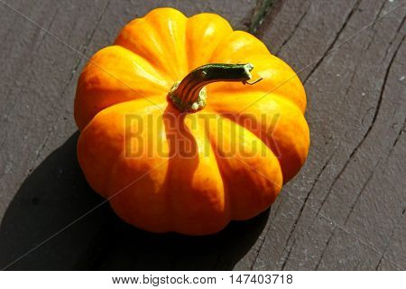 A yellow Decoratie pumpkin on a wooden background.