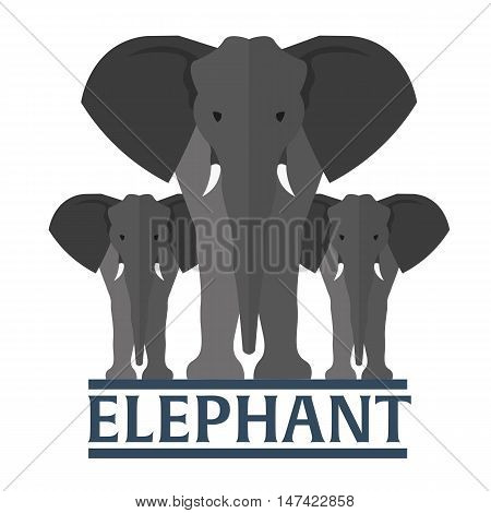 Elephant flat illustration. Vector illustration. Animals flat