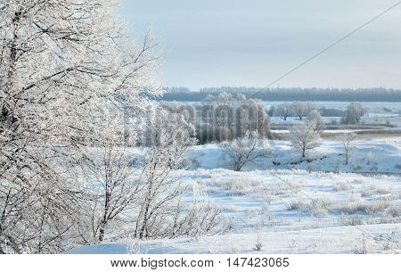 Winter Day