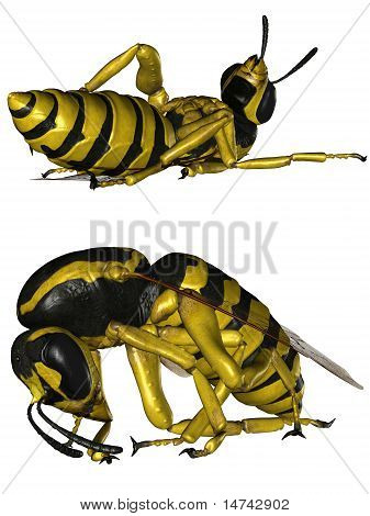 la Vespa