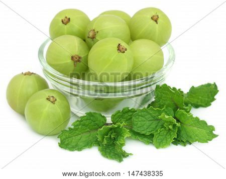 Amla fruits with mint leaves over white background