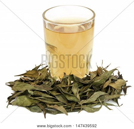 Ayurvedic medicinal Chirata with herbal juice in a glass