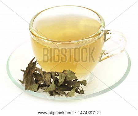 Ayurvedic medicinal Chirata with herbal tea in a cup