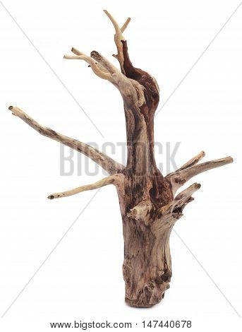 Close up of Bogwood over white background