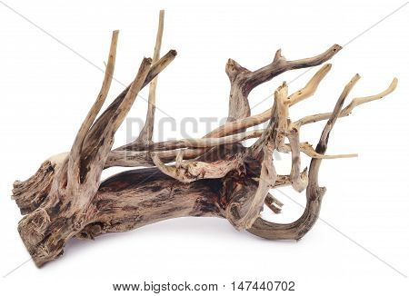 Close up of Bogwood over white background