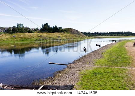 Rural Landscape At Summer