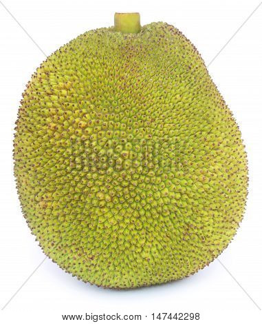 Close up of Jackfruit over white background