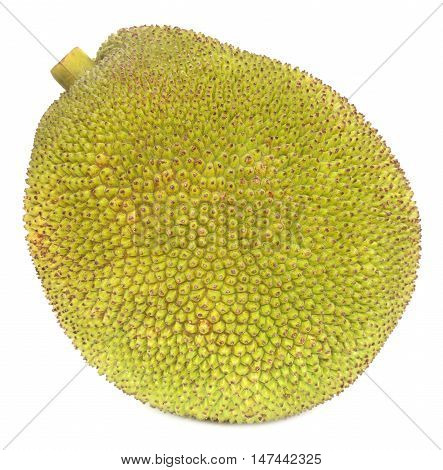 Close up of Jackfruit over white background