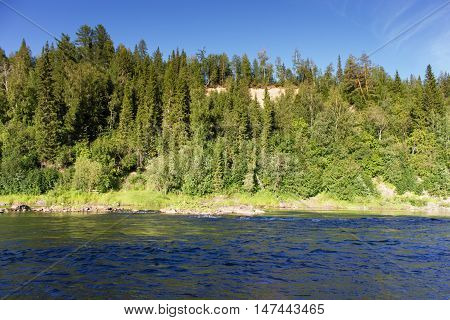 Summer Landscape With River And Forest